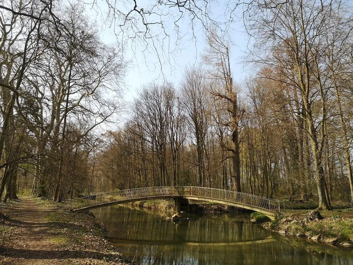 Escapadeveyloise-Nuit Romantique-Spa-Cine-Champagne Pont-de-Veyle